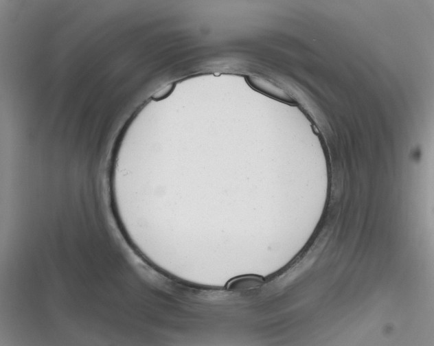 X0000116661434201001111241