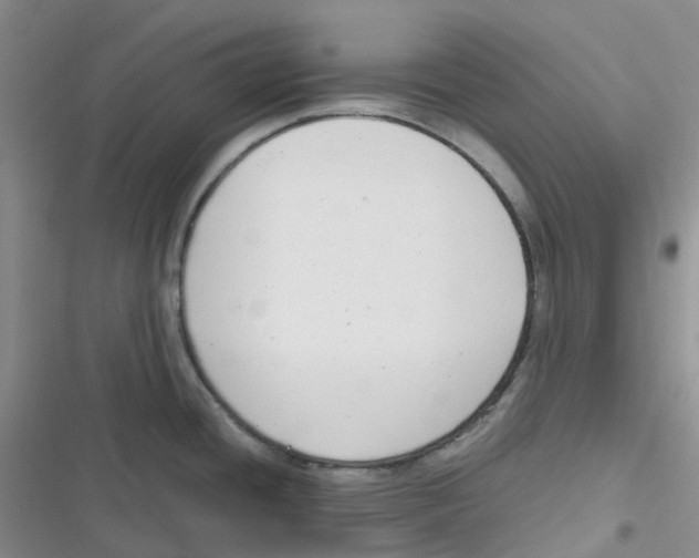 X0000116661436201001111241