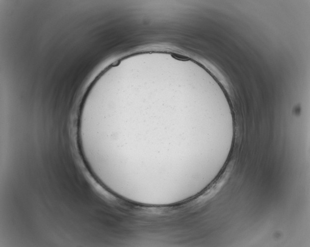 X0000116661438201001111241