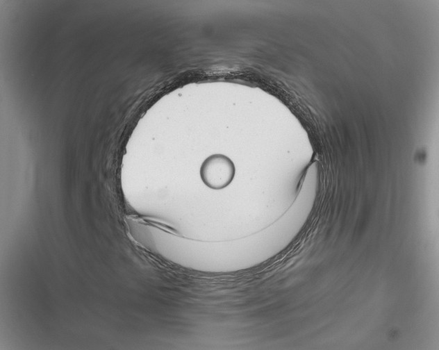 X0000116661441201001111240