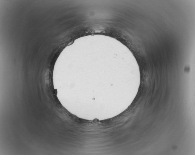 X0000116661442201001111240