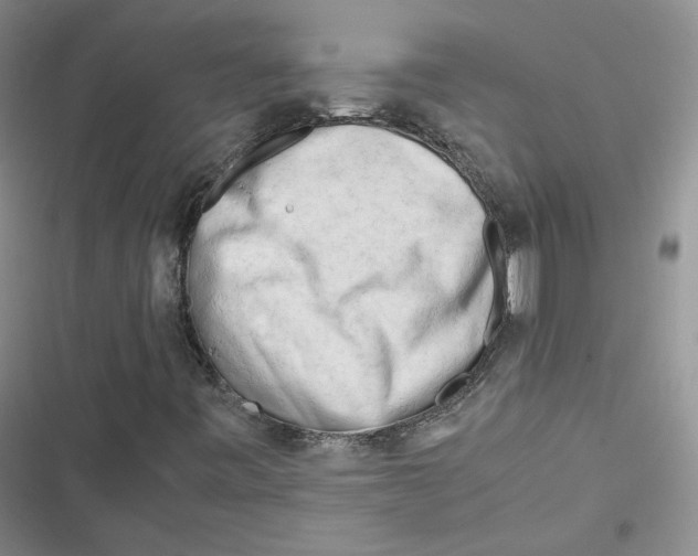 X0000116661443201001111240