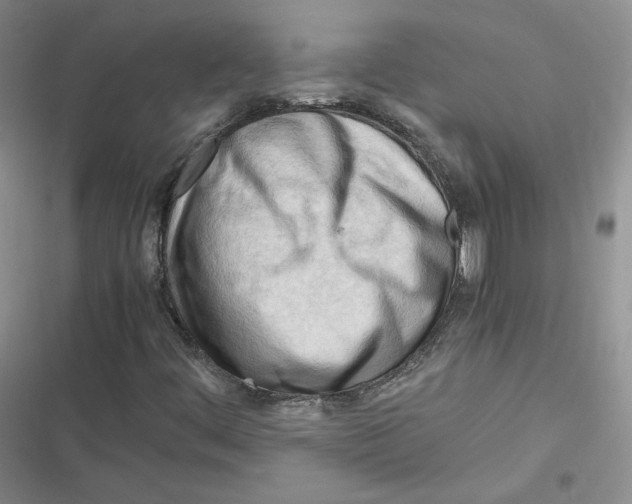 X0000116661444201001111240