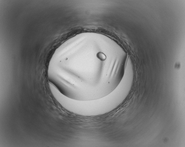 X0000116661445201001111240