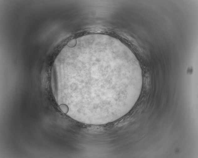 X0000116661446201001111240