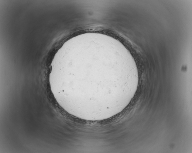 X0000116661447201001111240