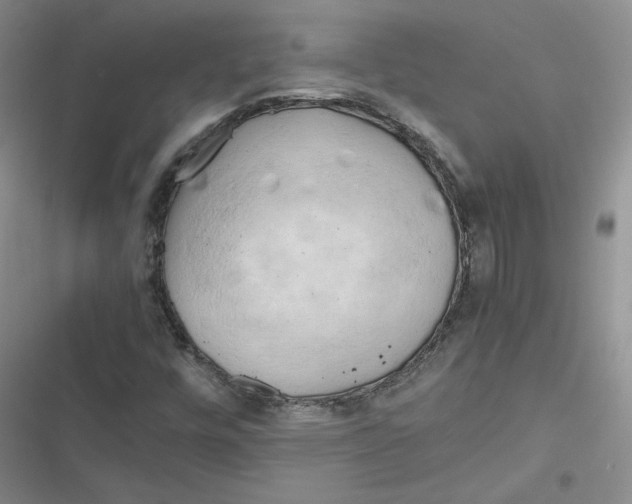 X0000116661448201001111240
