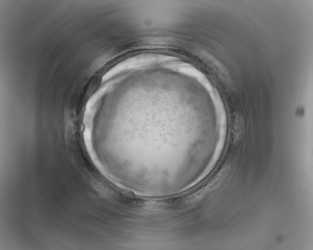 X0000116661449201001111240