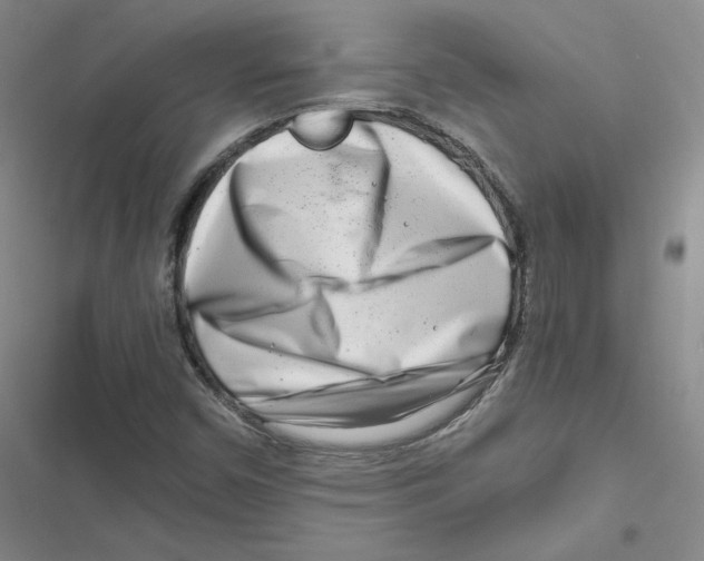 X0000116661450201001111240