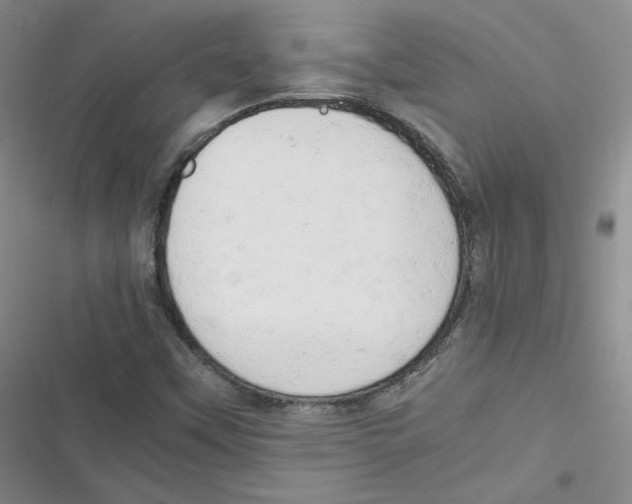 X0000116661451201001111240