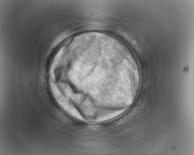X0000116661453201001111240