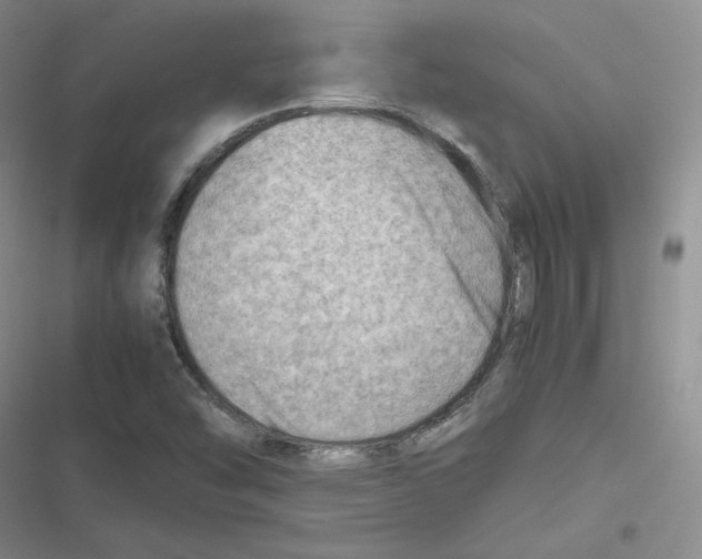 X0000116661454201001111240