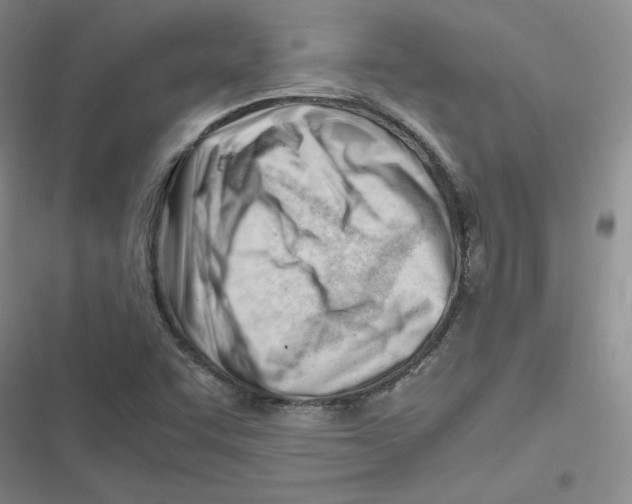 X0000116661455201001111240