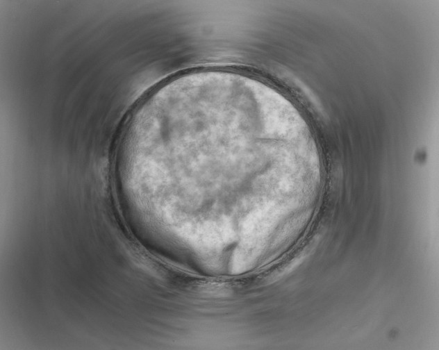X0000116661457201001111240