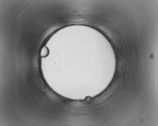 X0000116661458201001111240