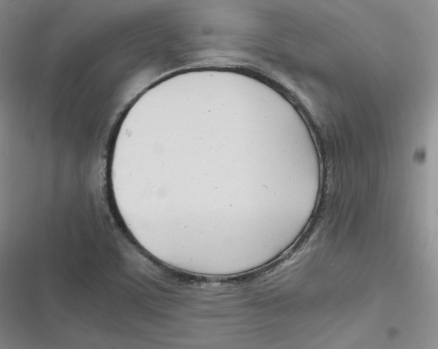 X0000116661459201001111240