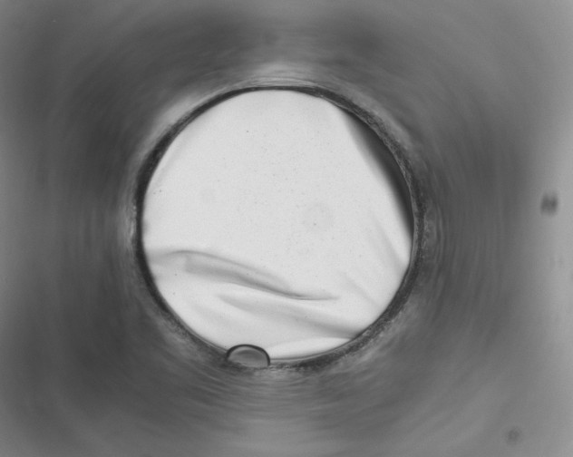 X0000116661461201001111240