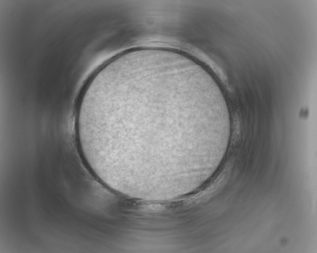 X0000116661462201001111240