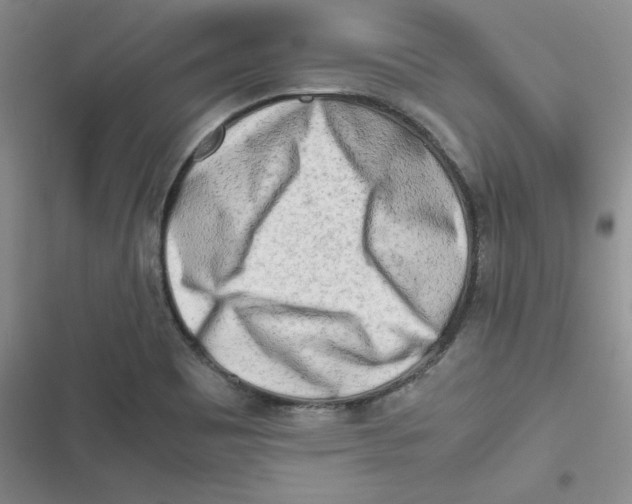 X0000116661465201001111240