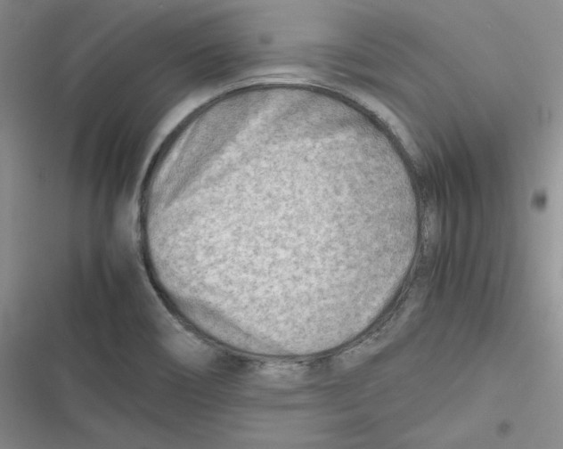 X0000116661466201001111240