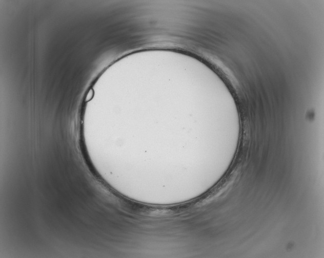 X0000116661467201001111240