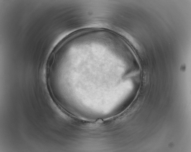 X0000116661468201001111240
