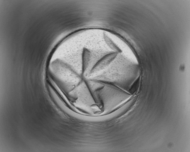 X0000116661469201001111240