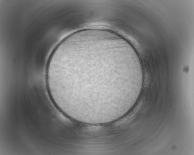 X0000116661470201001111240