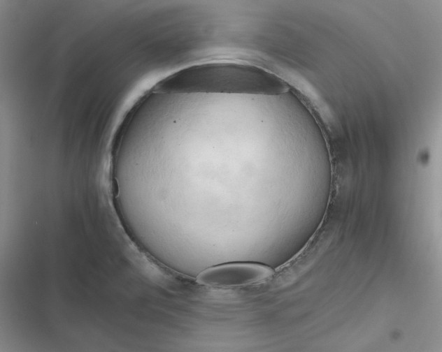 X0000116661472201001111240