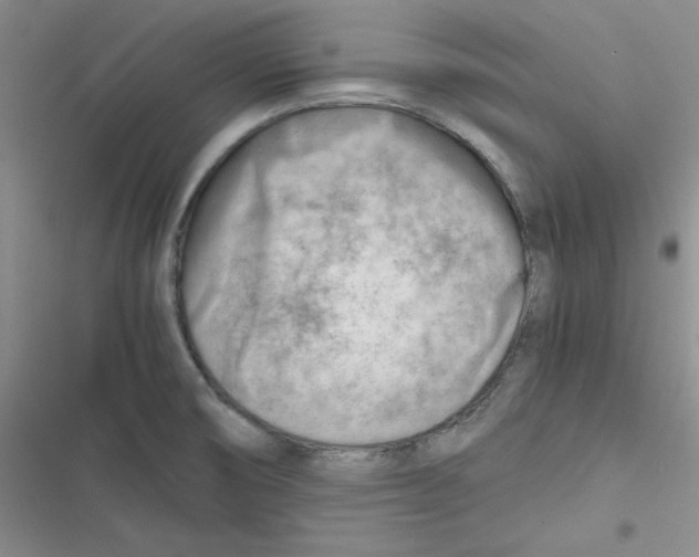 X0000116661474201001111240