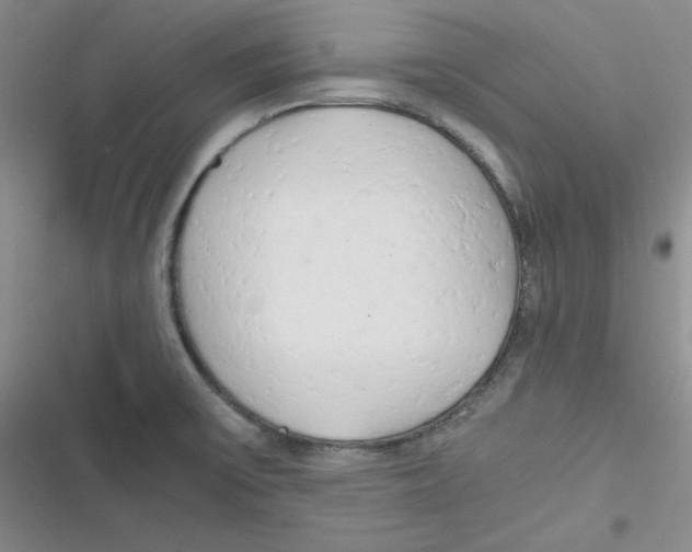X0000116661475201001111239
