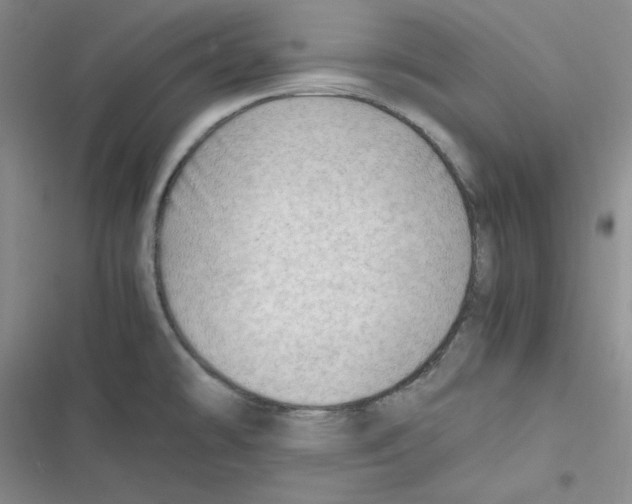 X0000116661478201001111239