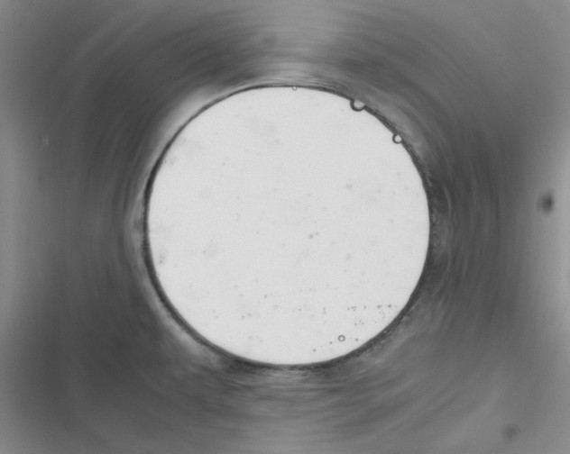 X0000116661479201001111239