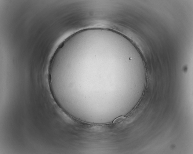 X0000116661480201001111239