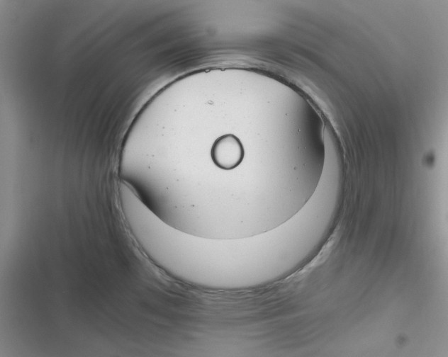 X0000116661481201001111239