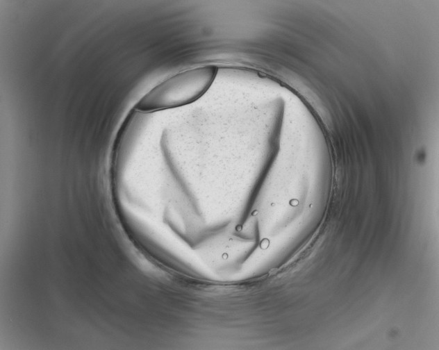 X0000116661482201001111239
