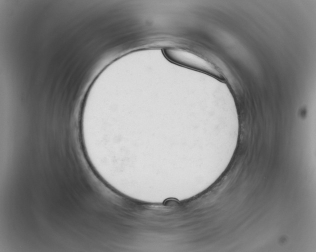 X0000116661483201001111239