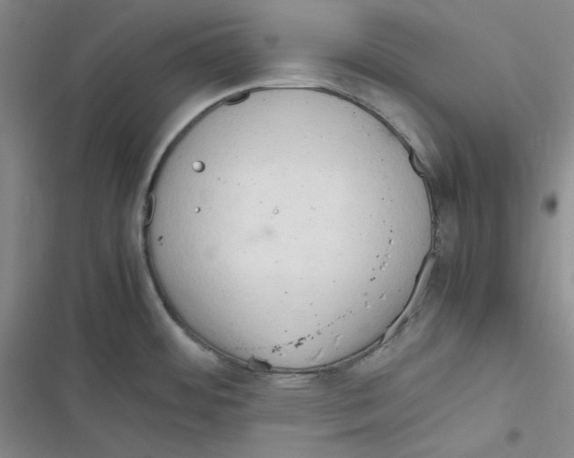X0000116661484201001111239