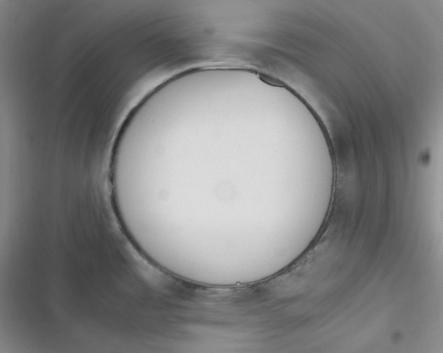 X0000116661485201001111239