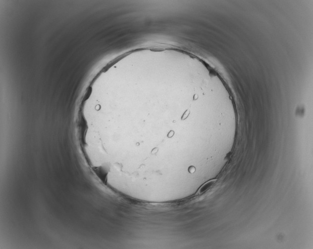 X0000116661488201001111239