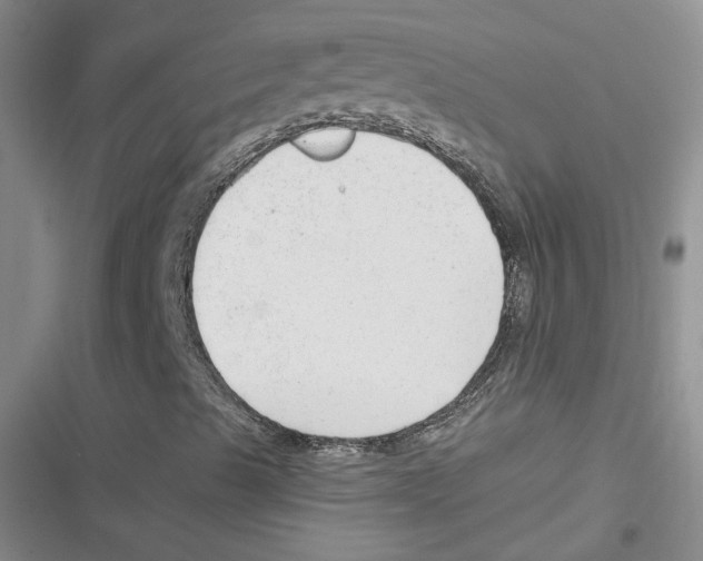 X0000116661489201001111239