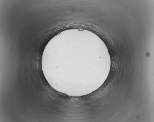 X0000116661490201001111239