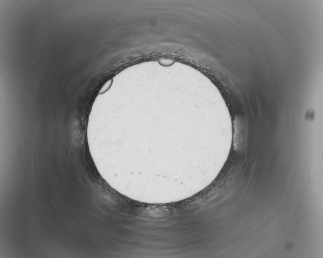 X0000116661491201001111239