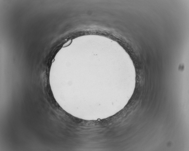 X0000116661493201001111239