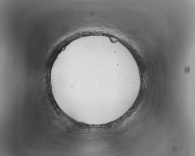 X0000116661494201001111239