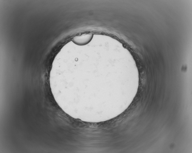X0000116661495201001111239