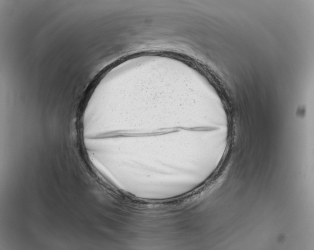 X0000116661497201001111239