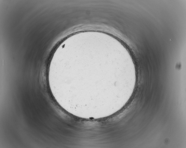 X0000116661498201001111239