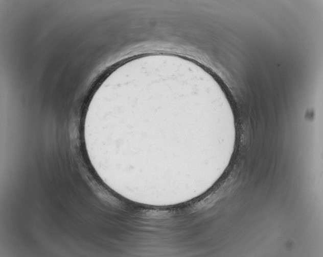 X0000116661499201001111239