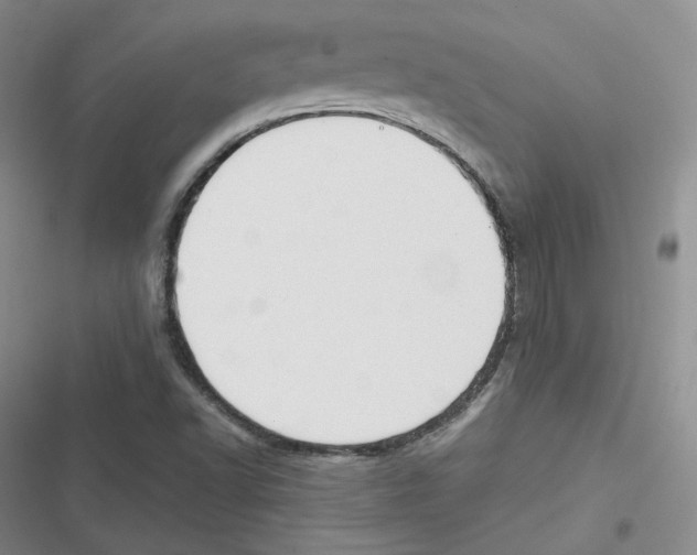 X0000116661502201001111239